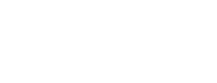 Z-Theory Logo